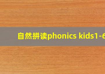 自然拼读phonics kids1-6